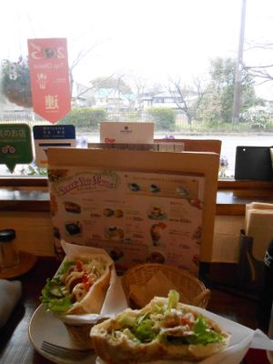 Falafel Garden at Falafel Garden in Kyoto