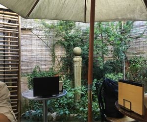 Tiny garden in the back at Falafel Garden in Kyoto