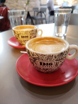 Oat milk cappuccino at D16 Coffee in Split