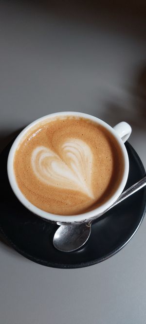  at D16 Coffee in Split