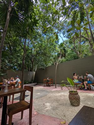 Setting at Arcana in Playa Del Carmen