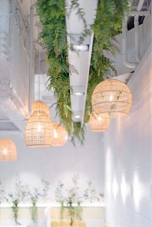 Roof at Cafe Vianee in Miranda