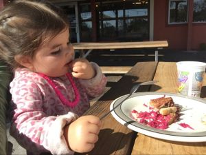 we gobbled up the tempeh reuben pretty quickly. sooo good!  at Sweet Pea Cafe in Tallahassee
