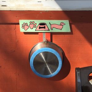 creative and thoughtful people running this place at Sweet Pea Cafe in Tallahassee