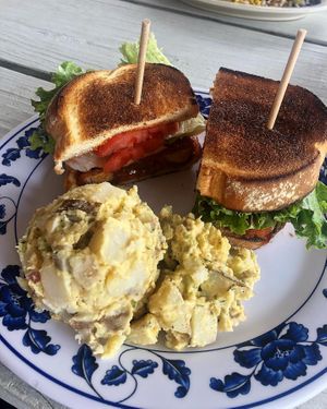 Buffalo Fried Tofu Sandwich and potato salad   at Sweet Pea Cafe in Tallahassee