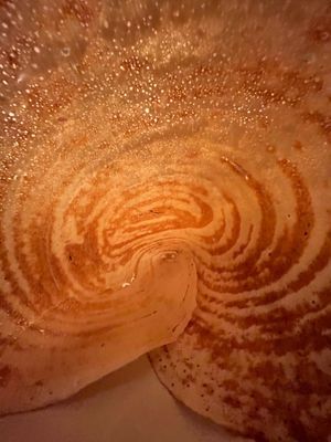  at Sagar Vegan & Vegetarian Restaurant - Leicester Square in South West London