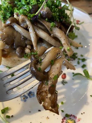 Very tasty mushrooms at Fanø Krogaard in Fanoe