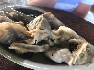 Veggie dumplings with a delicious brown sauce! at Veggie Garden in Belmopan