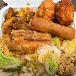Char Siu, Porkless Pork, Eggless Patty, Egg Roll, Cabbage, Spicy fried rice, and Pumpkin rice  at The Vegan Shop in Hilo