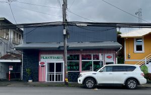 Storefrontt #Veganuary at The Vegan Shop in Hilo