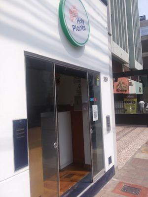 Exterior at Holy Plants in Lima