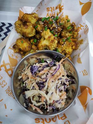  at Holy Plants in Lima