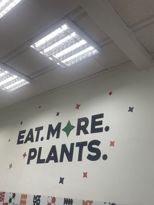   at Holy Plants in Lima