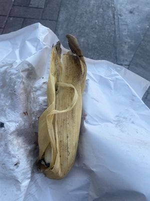 Verde tamale  at Tamales Ciencia Ficción in Playa Del Carmen