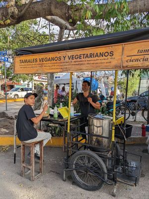 Vegan tamale stand at Tamales Ciencia Ficción in Playa Del Carmen