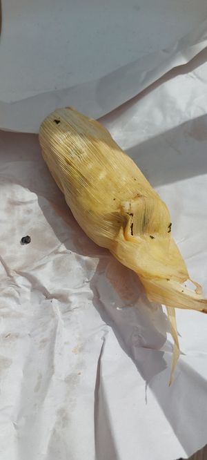 at Tamales Ciencia Ficción in Playa Del Carmen