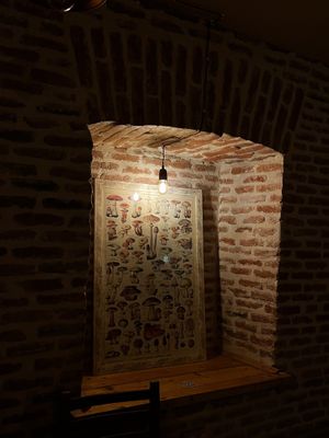   at Darani in Tbilisi