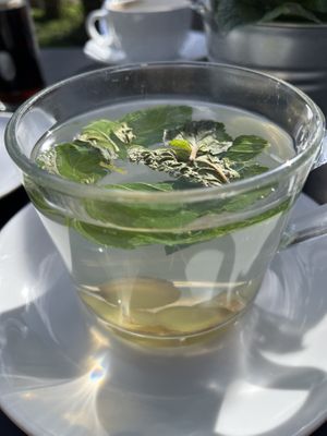 Heißer Ingwer mit Minze  at Café Winzig in Neustadt