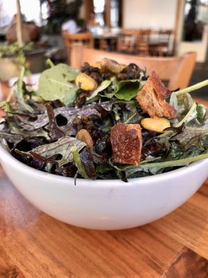 Kale Cesar   at Cafe Flora in Seattle