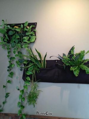 Wall detail at Cafe Flora in Seattle