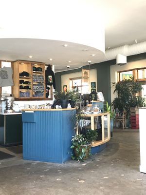 Shirts and hoodies a la Cafe Flora at Cafe Flora in Seattle