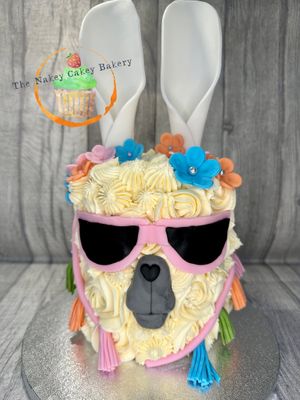 No drama llama!  at The Nakey Cakey Bakery in Castletown