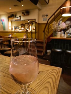 Pink Gin and Tonic at Zeta in The Hague