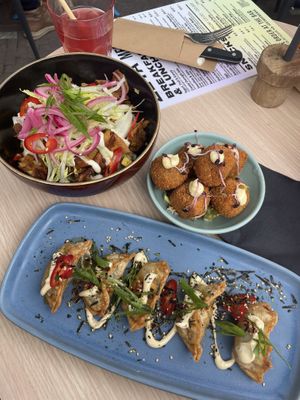 Loaded Fries (top left), Vegetable Gyozas (bottom), Bitterballen (top right)  at Zeta in The Hague