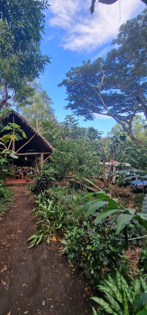 The place at Bustavo Food Bus in Ometepe