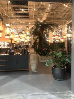 Inside at Nooba in Winterthur