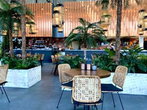   at Nooba in Winterthur