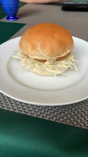 One of the burger options, costing ~900 yen (small serving) at Oribio in Osaka