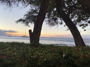 Sunset view  at Star Noodle in Lahaina