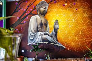 Our mural By Meme
#colorsbymeme at BOTICA BISTRO - Nutty Treesome in Playa Del Carmen