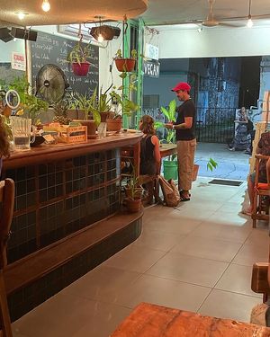 Great vibe  at BOTICA BISTRO - Nutty Treesome in Playa Del Carmen