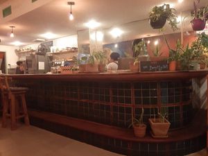  at BOTICA BISTRO - Nutty Treesome in Playa Del Carmen