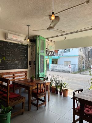  at BOTICA BISTRO - Nutty Treesome in Playa Del Carmen