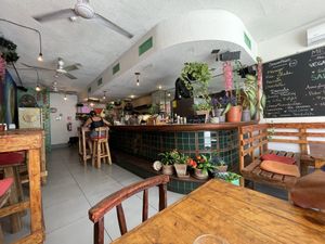   at BOTICA BISTRO - Nutty Treesome in Playa Del Carmen