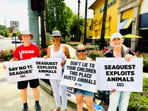  at Sacramento Vegan Society in Sacramento