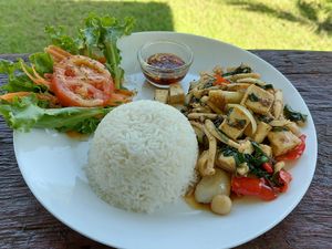 Phad krapow tofu & mushrooms at Charisma Jardin in Chiang Mai