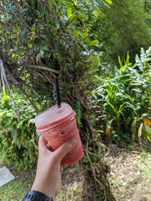 Strawberry smoothie at El Yunique Rainforest Cafe in Rio Grande