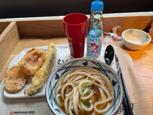 Kake Udon (with Veggie Broth), tempura courgette, red bell pepper, sweet potato, and vegetable gyoza!  at Marugame Udon in East London