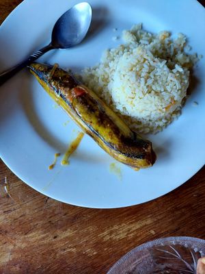 Curry part 2 at Natural in Ometepe