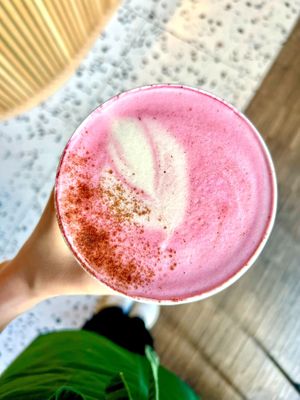  at Cultivate Food in Oslo