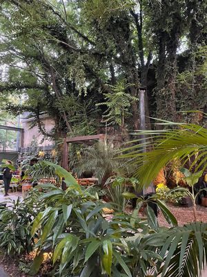 In the garden  at Chuí in Buenos Aires