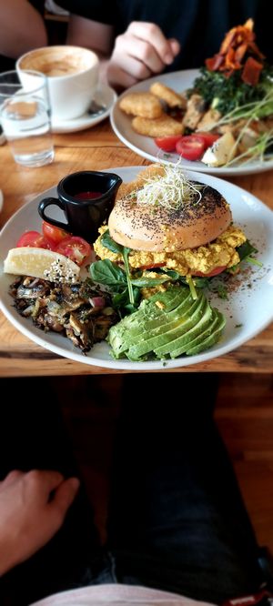 Bagel option at Vega in Spring Hill