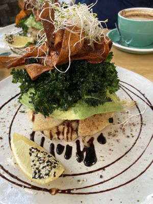   at Vega in Spring Hill