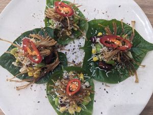  at Vega in Spring Hill