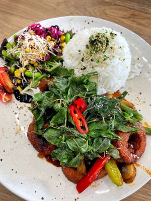 “Volcano Calamari” with rice, so delicious   at Vega in Spring Hill