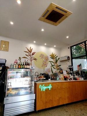  at Vega in Spring Hill